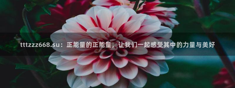 黑料曝光：tttzzz668.su：正能量的正能量，让我们一起感受其中的力量与美好