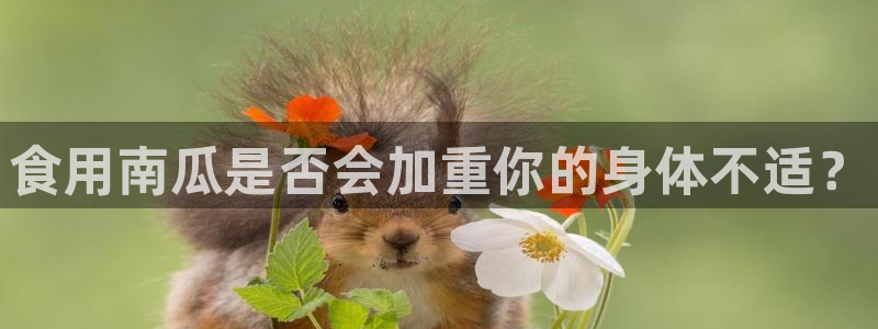 51吃瓜张津瑜