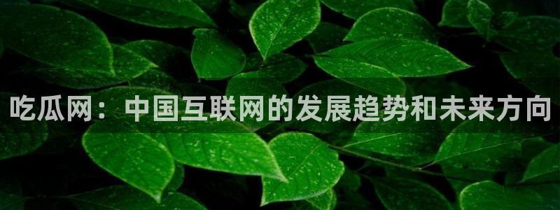 吃了坏瓜怎么办：吃瓜网：中国互联网的发展趋势和未来方向
