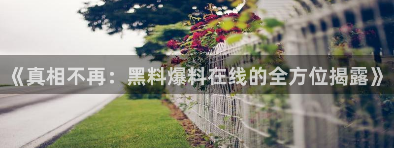 吃了坏瓜怎么办：《真相不再：黑料爆料在线的全方位揭露》
