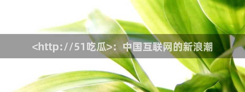 黑料.：<http://51吃瓜>：中国互联网的新浪潮