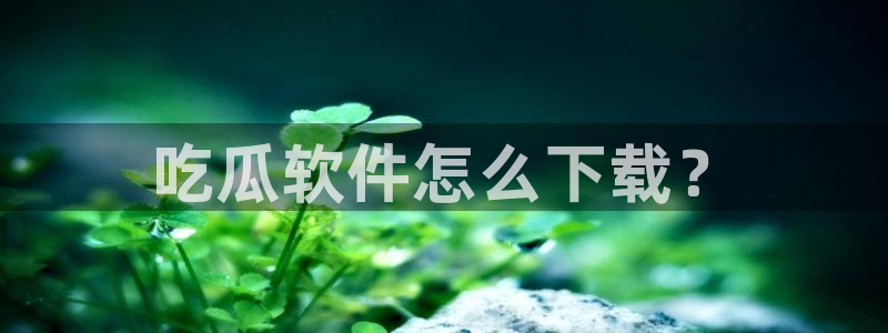 吃瓜www：吃瓜软件怎么下载？