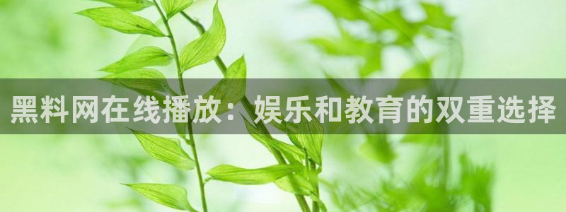 吃瓜小说