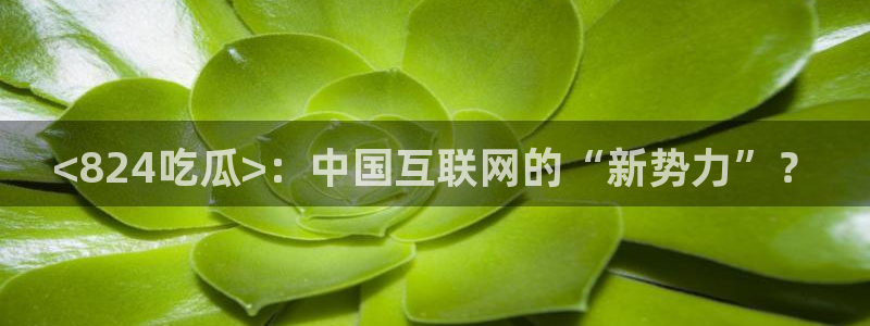 吃了坏瓜怎么办：<824吃瓜>：中国互联网的“新势力”？