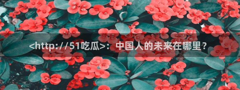 51cgfun吃瓜网怎么进：<http://51吃瓜>：中国人的未来在哪里？
