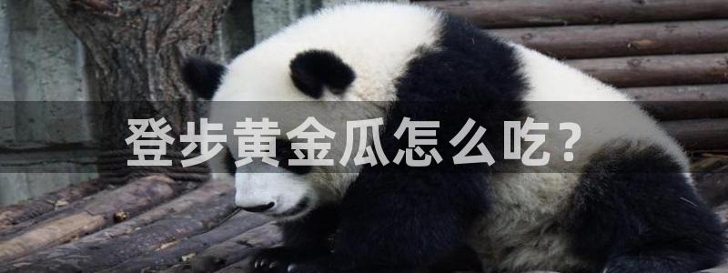 51国产吃瓜在线今日吃瓜