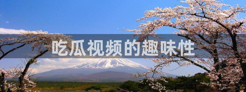 yourport吃瓜网