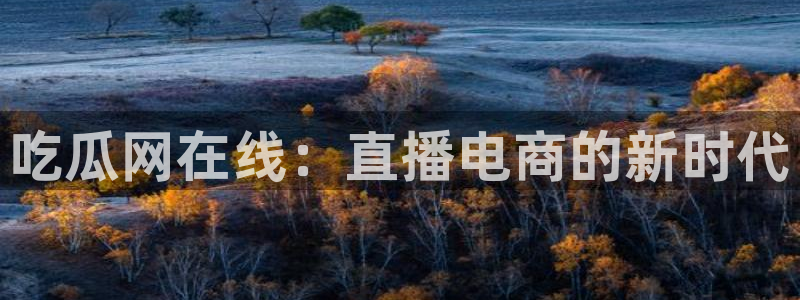 ccggme吃瓜网：吃瓜网在线：直播电商的新时代